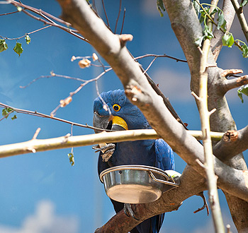 ddos攻击测试工具