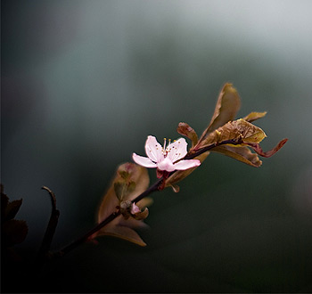 ddos在线攻击测试网站