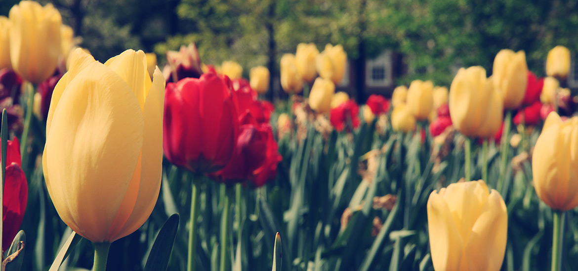 企业级安全可靠的网站ddos